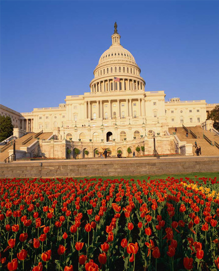photo of the U.S. Capitol building in Washington, D.C.